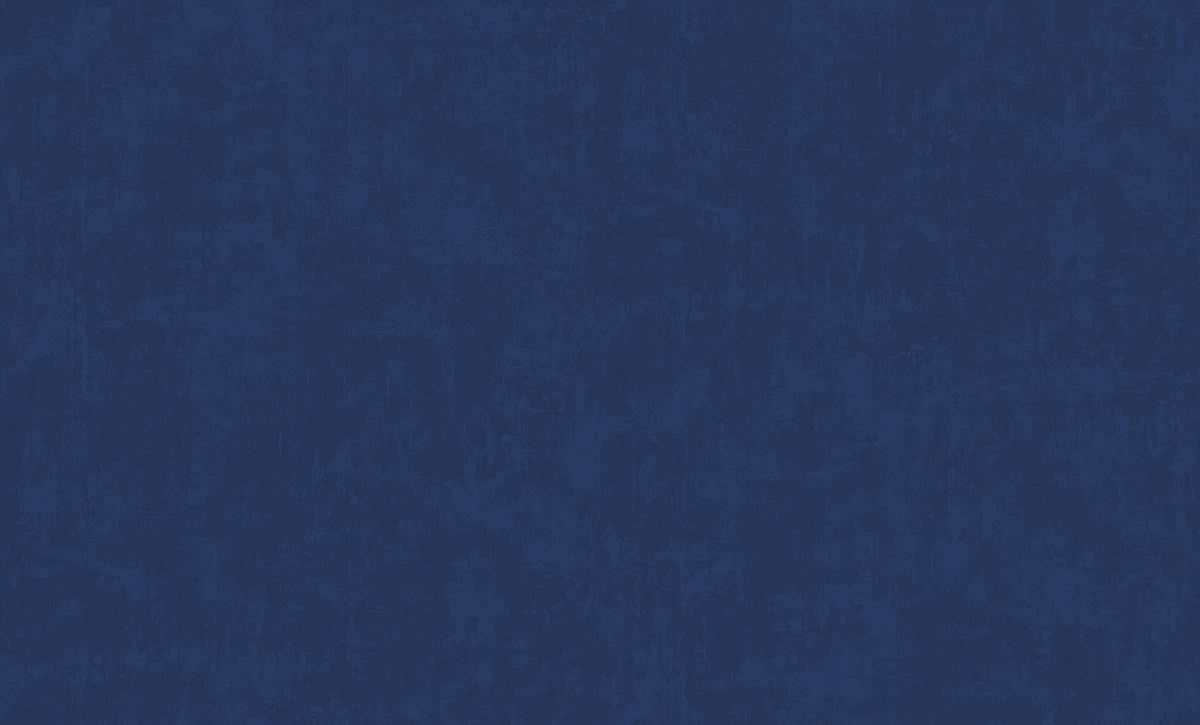 Обои виниловые горячего тиснения на флизелиновой основе Erismann Spectrum 1,06х10м 60625-14