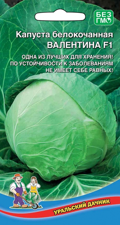 Капуста белокочанная ВАЛЕНТИНА F1 (УД) 0,1г позднеспелая е/п