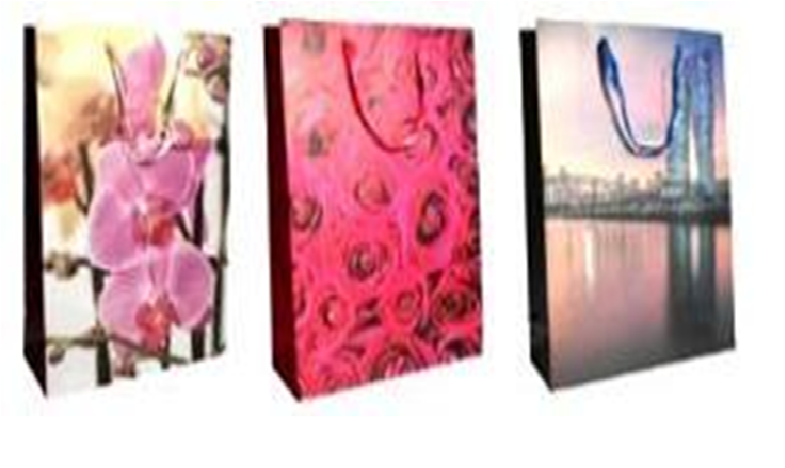 Пакет подарочный Eurohouse 4х33х12,7см 13765