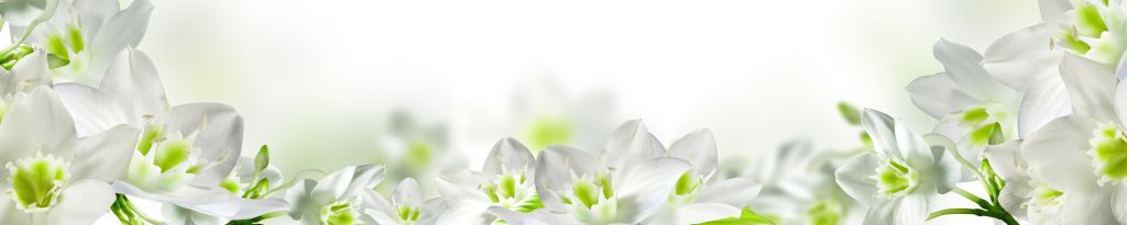 Панель-фартук Нарциссы фотопечать 080/2 600х2000мм