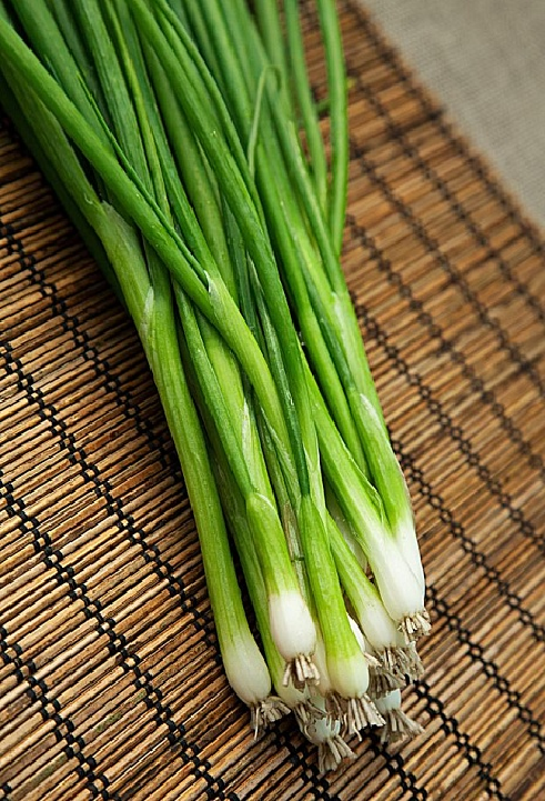 Лук Батун Апрельский 0,5гр 964755