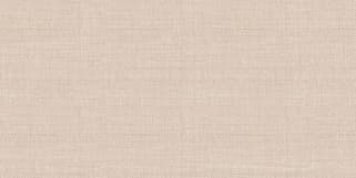 Плитка облицовочная Asteria TWU09ATR044 24,9х50см (1)