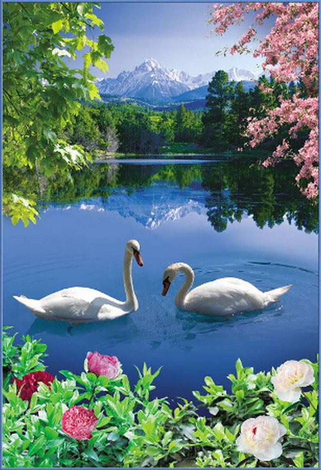 Фотообои  "Лебединое озеро" 4л. 134х196 /011032