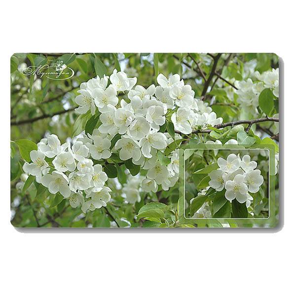 САЛФЕТКА "ЦВЕТУЩАЯ ЯБЛОНЯ" 28*44СМ FJ51-9