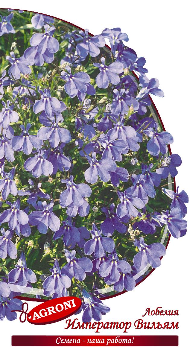 Лобелия Император Вильям Агрони 0,1г многолетняя е/п