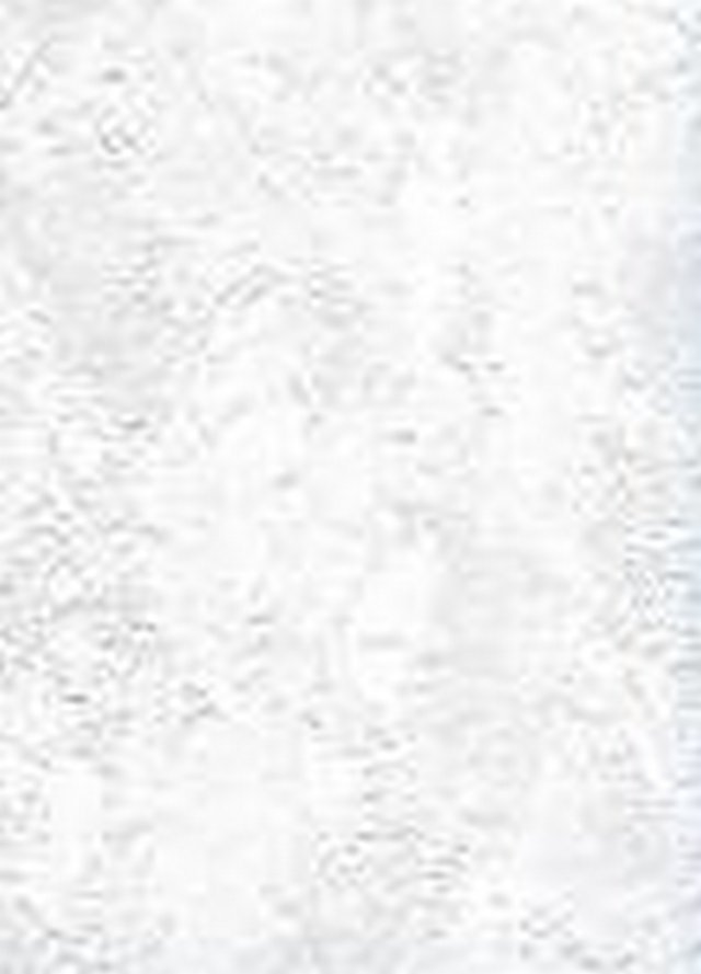 Обои бумажные потолочные дуплекс Ярославль Голландия 0,53х10м 005-01