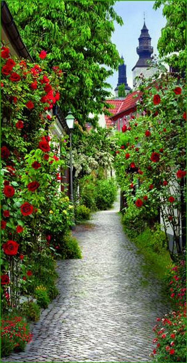 Фотообои "Пражская улочка" 6л. 134х260- купить в АПлайн