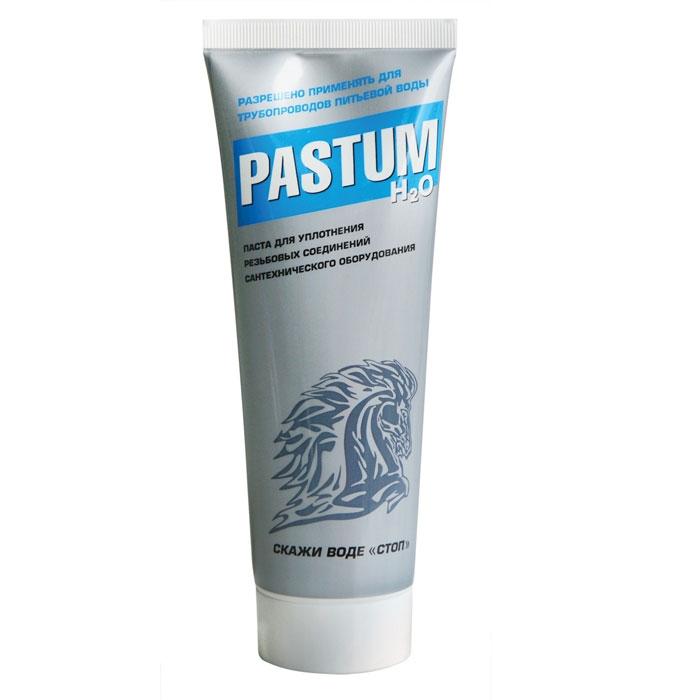 Паста уплотнительная PASTUM H2O 70г вода513463- купить в АПлайн