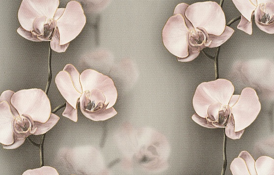 Обои бумажные симплекс Брянск Грация 3 0,53х10м С6БР-ГП