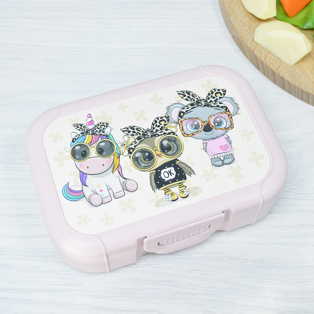 Ланч-бокс пласт. 0,85л с декором светло-розовый 222119207/02