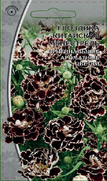 Гвоздика китайская  Менестрель 0,05гр 964888