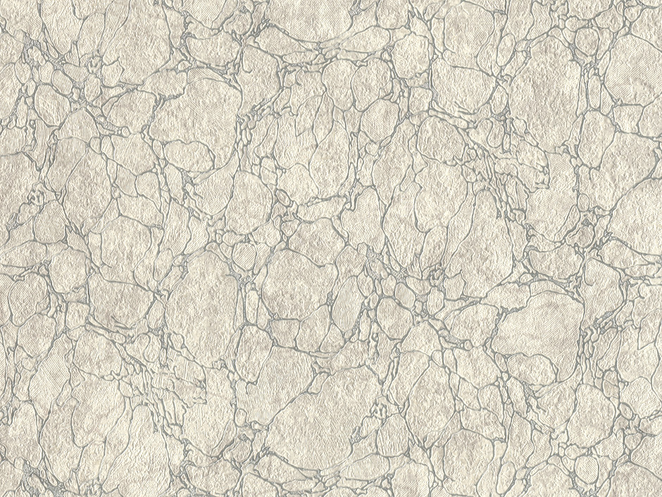 Обои виниловые на бумажной основе Semre 0,53х10м 7497 757557-06