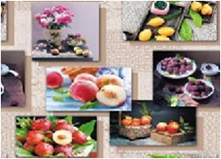 Клеенка Амарант на нетк. основе 1,37х20м 6618В