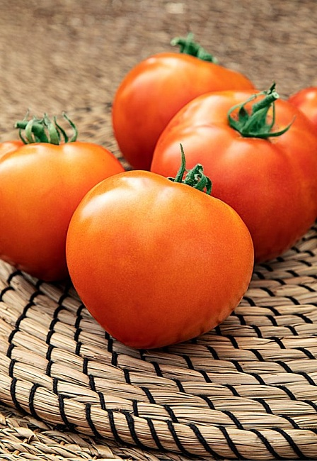 Томат Примадонна F1 0,03гр. 964832