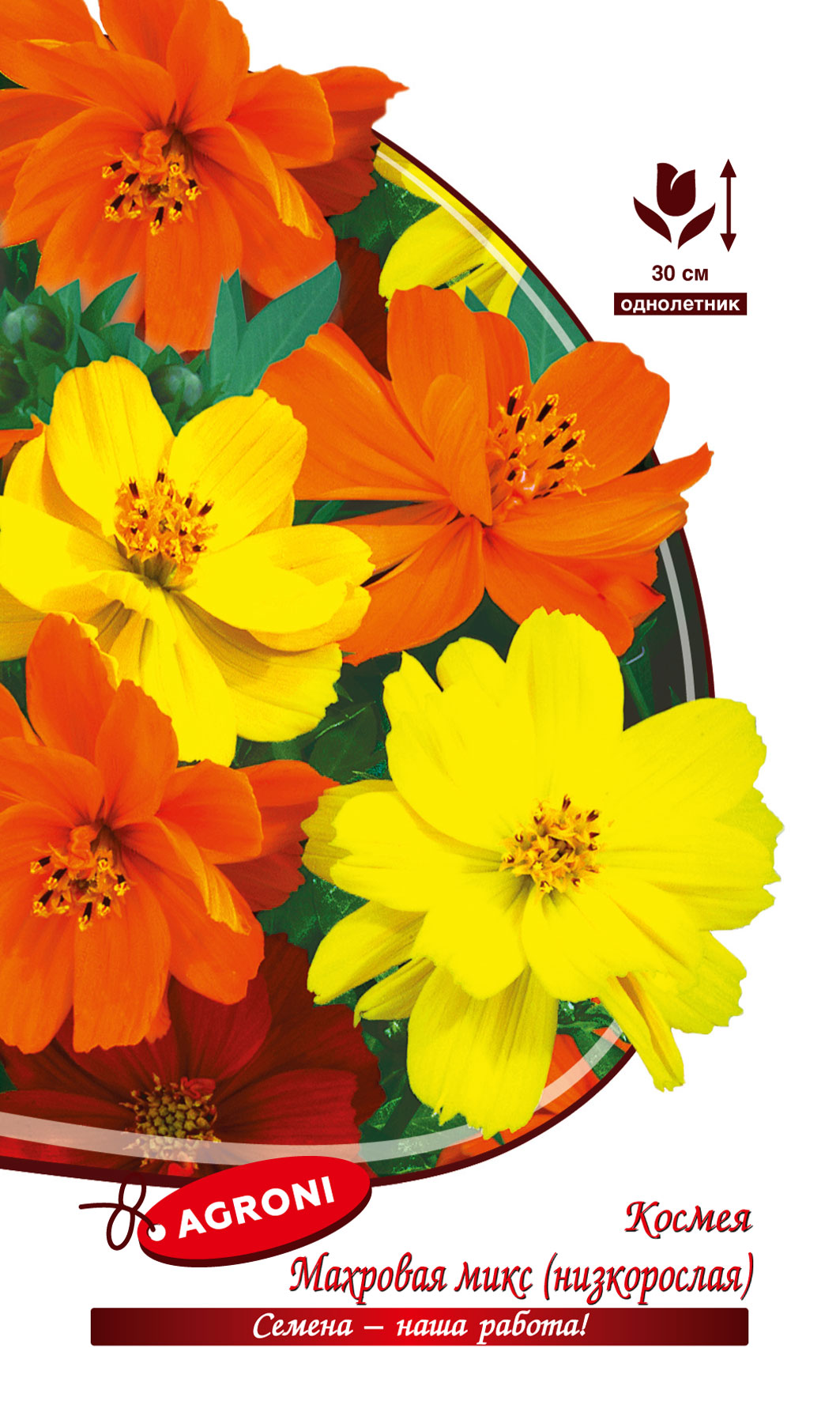 Космея Махровая низкорослая Карпет микс Агрони 0,3г однолетняя е/п- купить в АПлайн