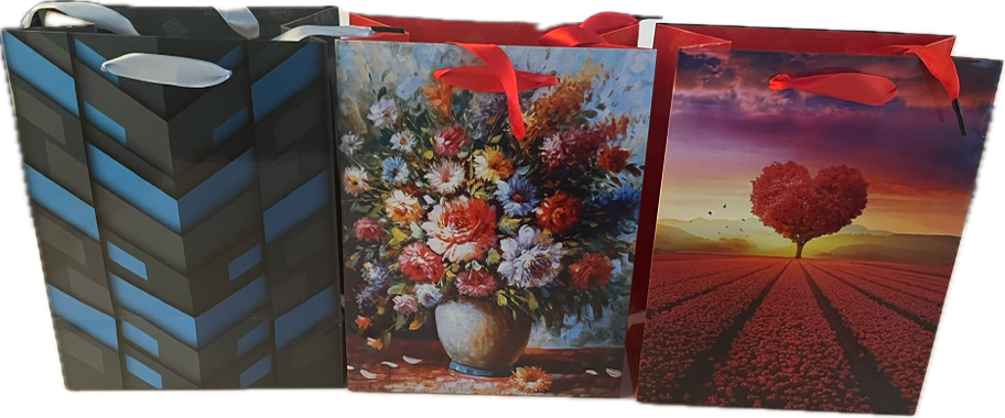 Пакет подарочный 18х23х10см 13760