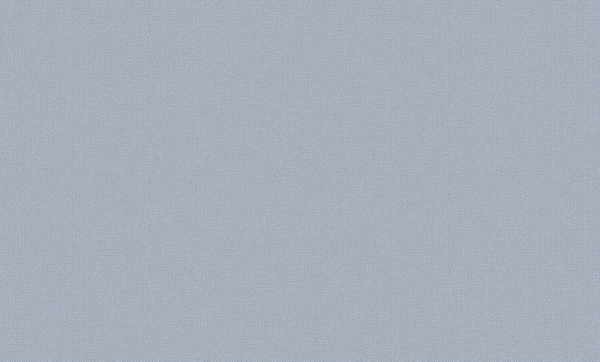 Обои виниловые на бумажной основе Белвинил Феникс фон 10СБ10 0,53х10м 0480-81