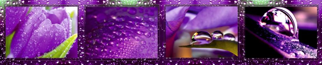 Панель-фартук Тюльпан фотопечать ФФ 16 600х3000мм