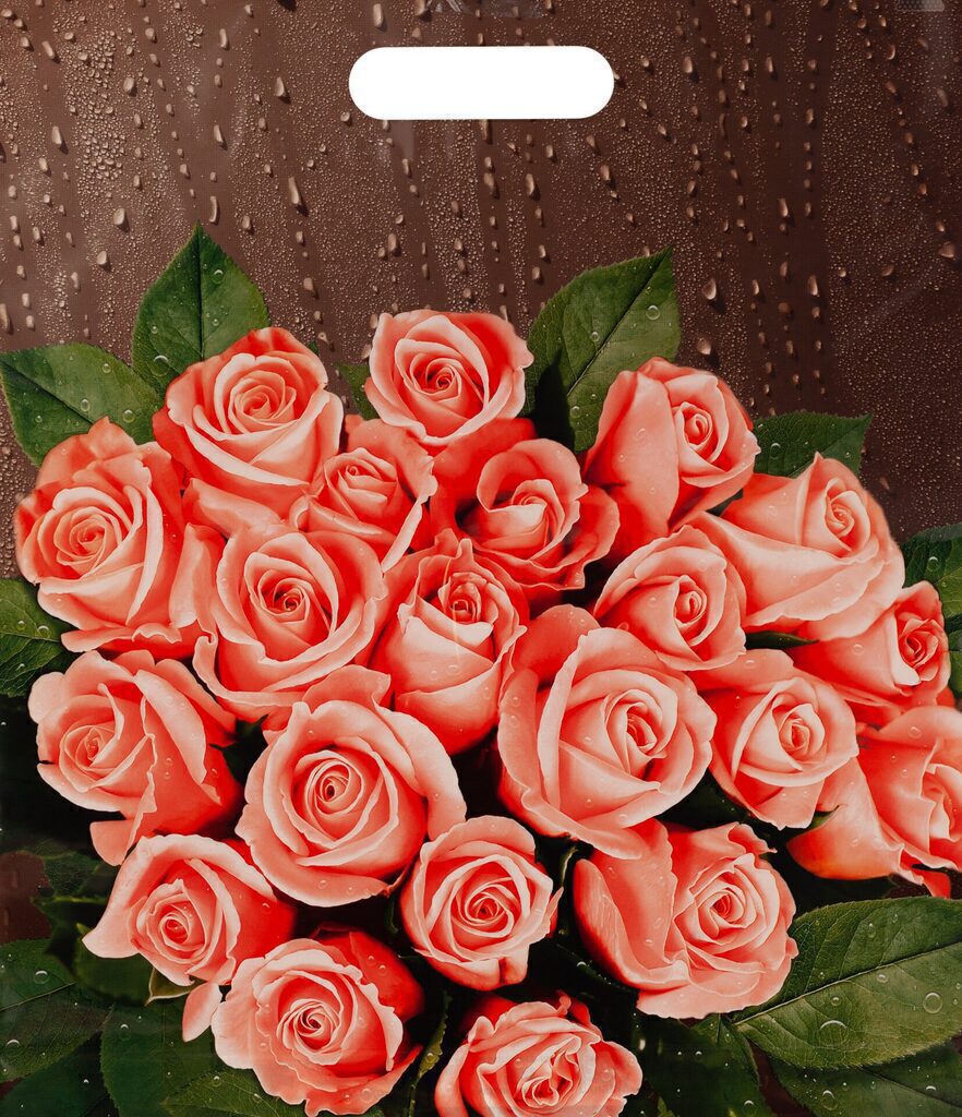 Пакет вырубной Розы после дождя 45х38см 1634716347- купить в АПлайн